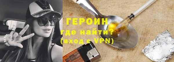 гашик Алексин