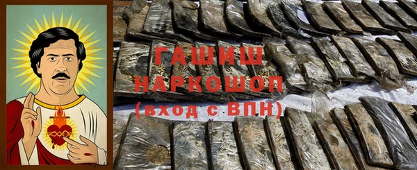 гашик Алексин