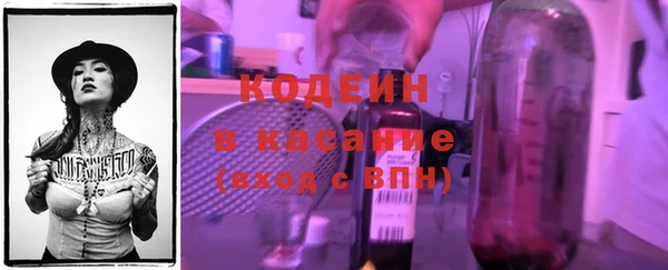гашик Алексин