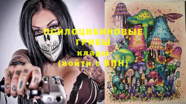 гашик Алексин