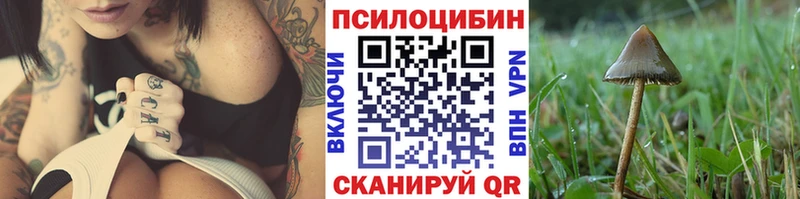 Псилоцибиновые грибы прущие грибы  kraken маркетплейс  Гуково 